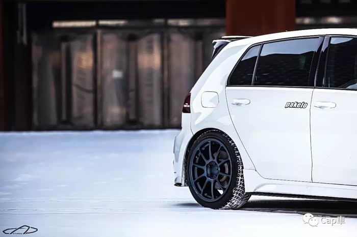 圈内揭秘（扮猪吃虎）代表什么动物