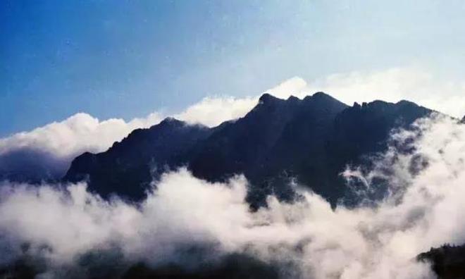 观点输出（一山也可）代表什么生肖