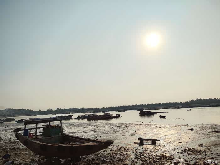 深度剖析（日行千里）打一准确数字